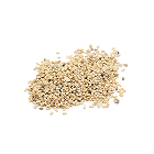 sesame